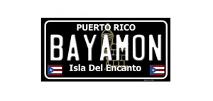 Black Bayamon Vinyl Decals