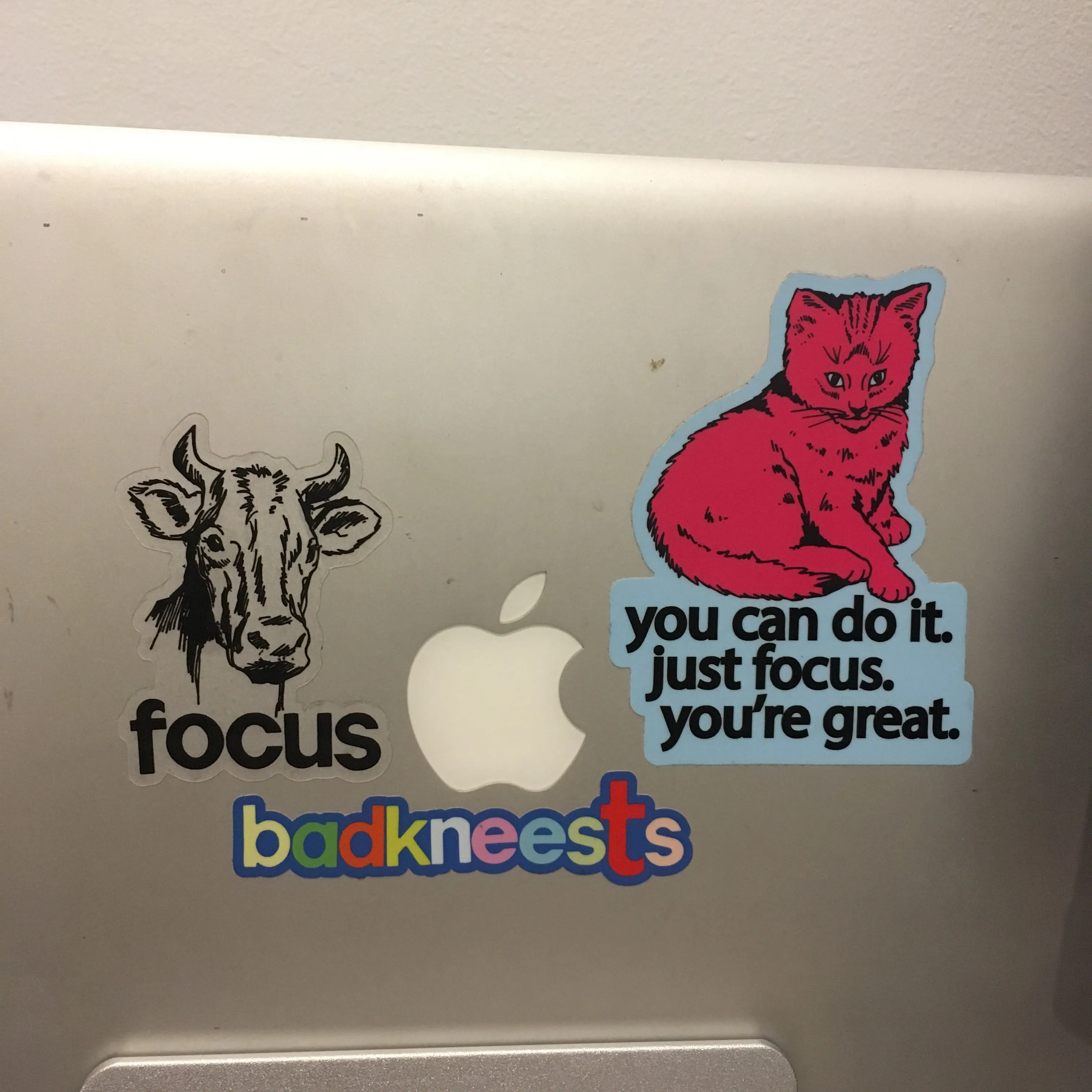 Focus Cow Sticker