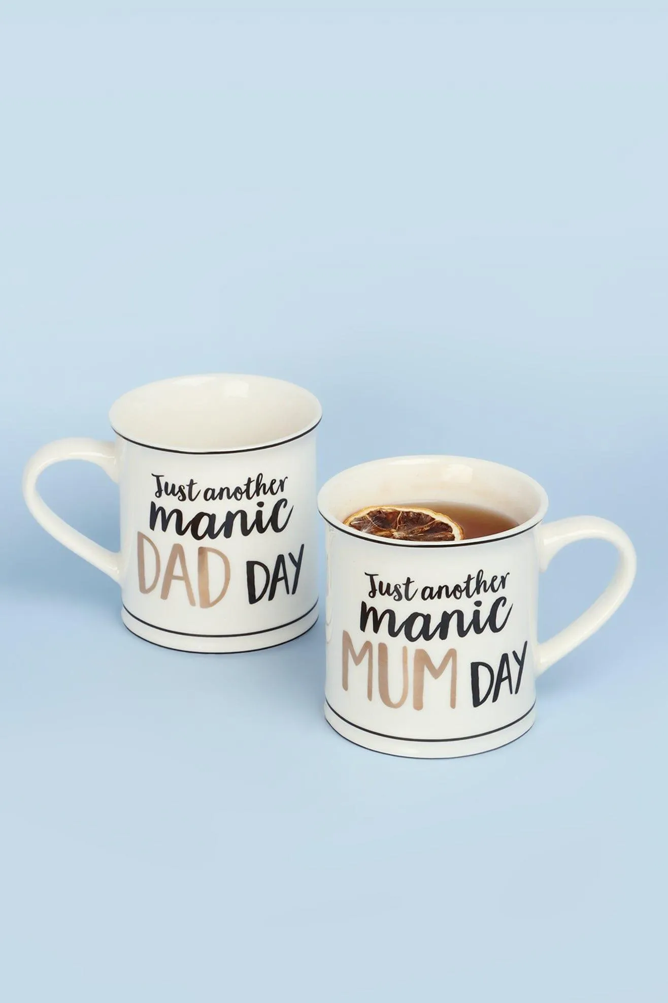 Just Another Manic Parent Day Mug