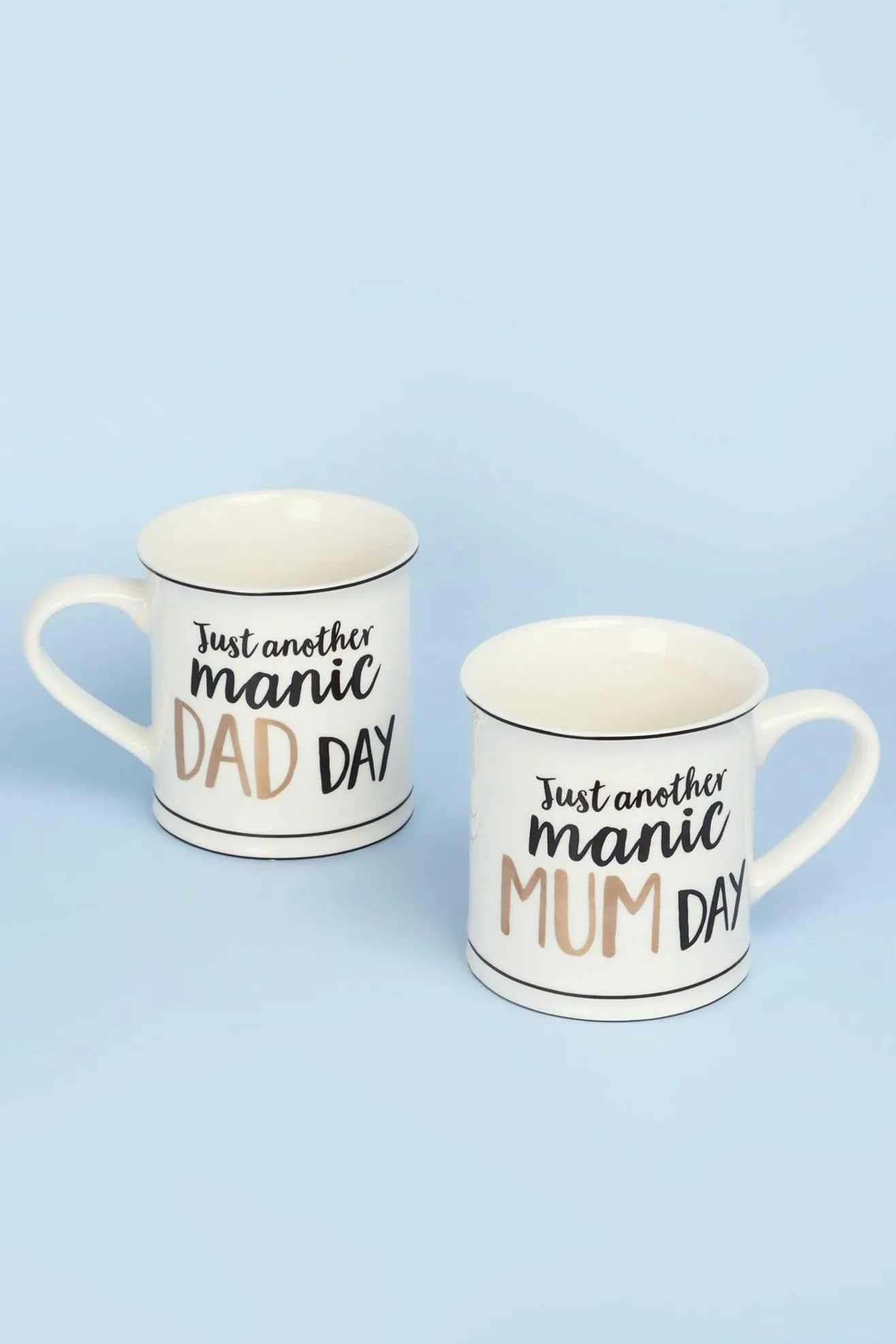 Just Another Manic Parent Day Mug