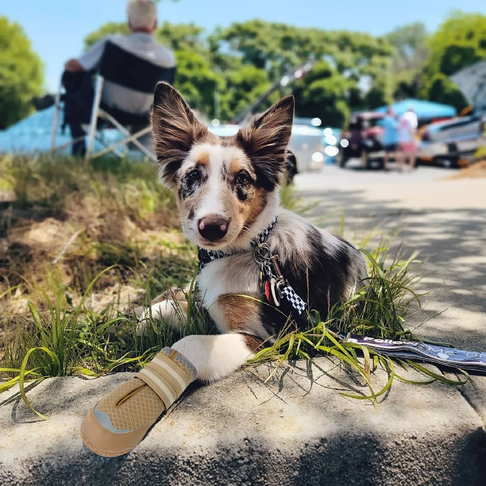 QUMY 2PCS Dog Shoes for Hot Pavement